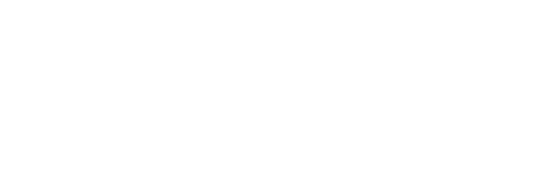 MAF 20th Anniversary Logo
